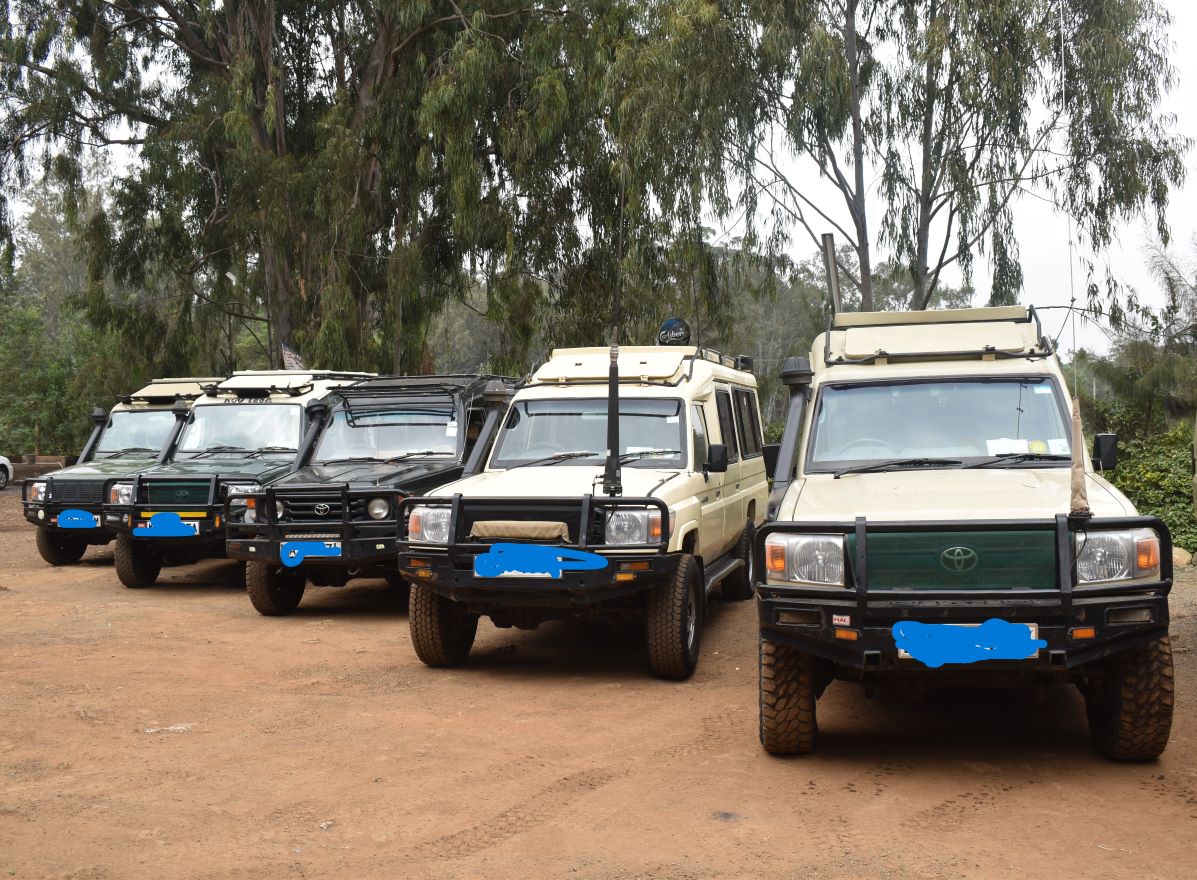Kenya Safaris Holiday gallery